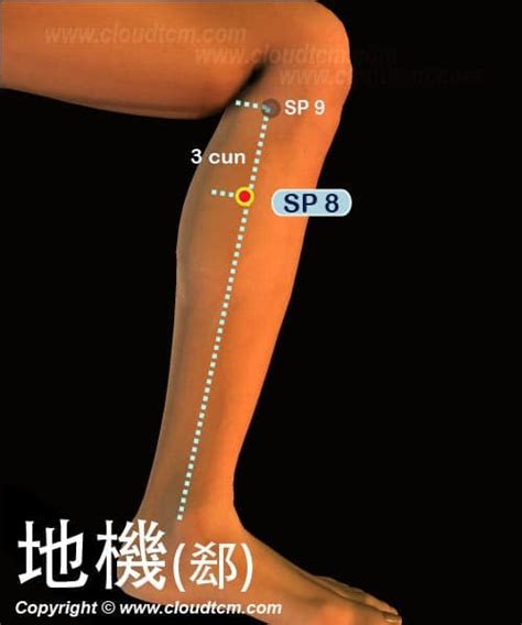 地機穴氣結|地機穴:名稱釋義,功能作用,治法,定位,解剖,主治,操作,臨床運用,操。